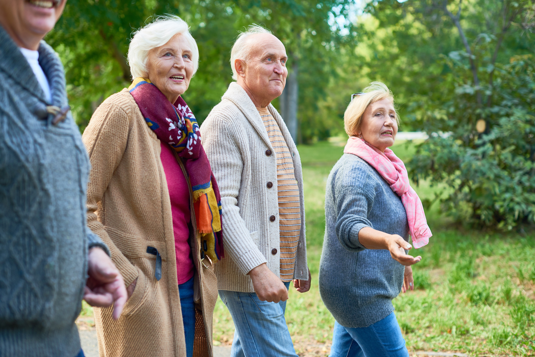 Group of seniors walking outside