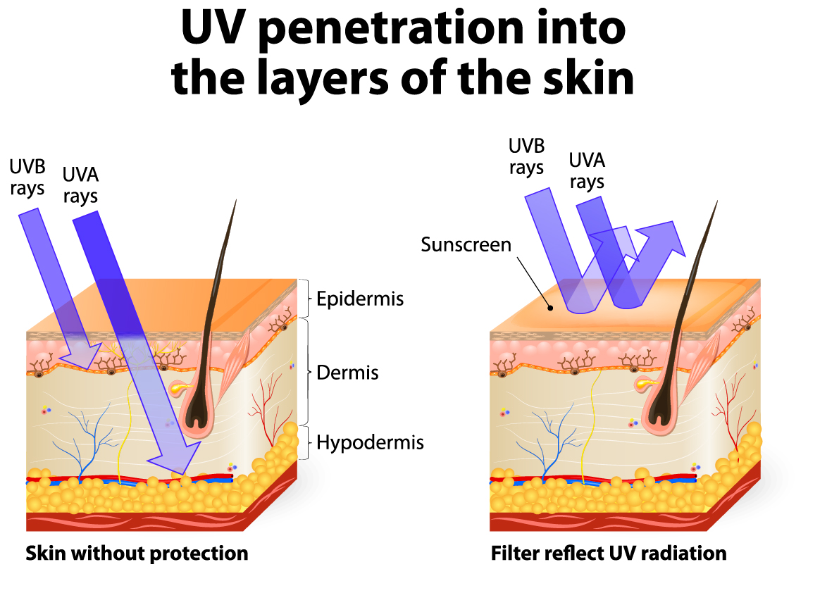 Sun Exposure and Aging Skin - Tutera Senior Living Communities