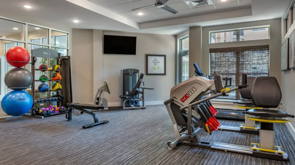 A modern gym with a variety of equipment, including treadmills, an exercise bike, a bench, weight racks with colorful exercise balls, and resistance bands. The room has large windows, a ceiling fan, and a wall-mounted TV. The floor is carpeted in a gray tone.