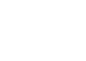 Strides Behavioral Health logo
