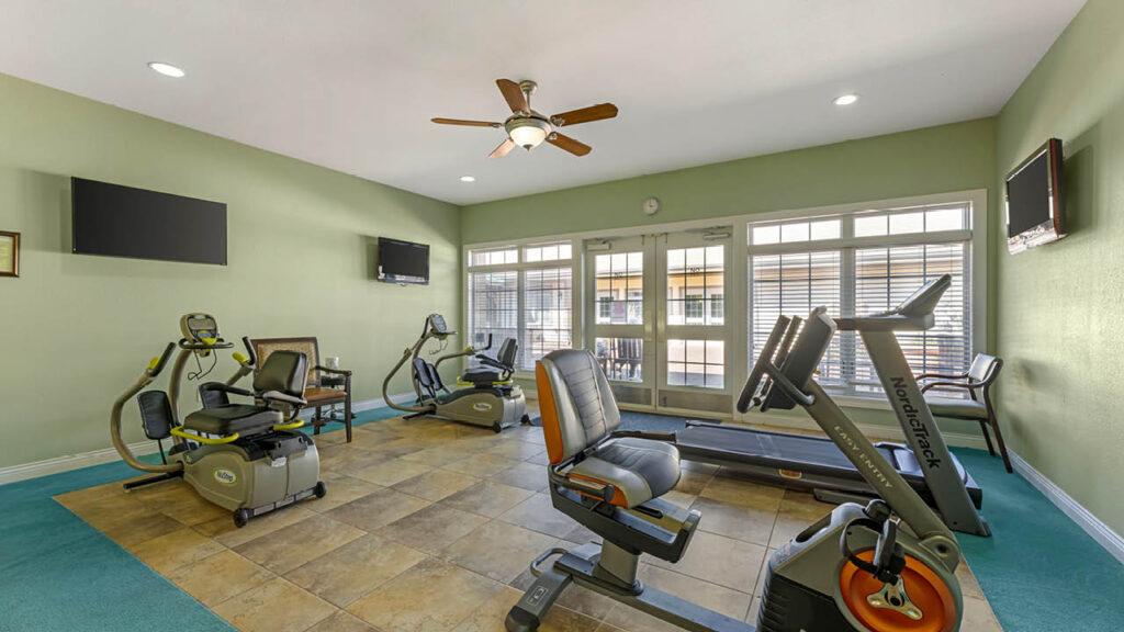 A bright fitness room with large windows, ceiling fan, three recumbent exercise bikes, a treadmill, teal carpet, and three wall-mounted TVs. Sunlight streams in through the windows and glass doors.