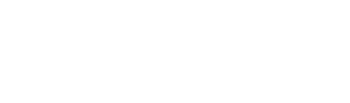 flan-managed-rehab-logo-white White logo with the word