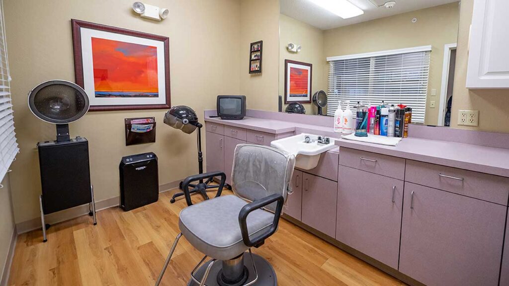 A well-lit salon room with a gray salon chair facing a mirror, a sink in the counter beside it, hair dryers, and a small black TV on the countertop. The walls are adorned with colorful artwork, and wooden flooring adds warmth to the space.