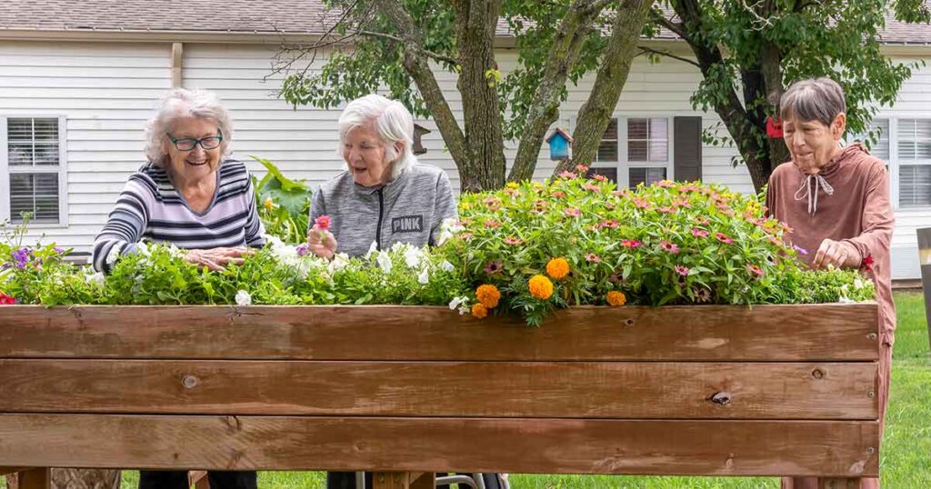 Senior women working in raised garden bed