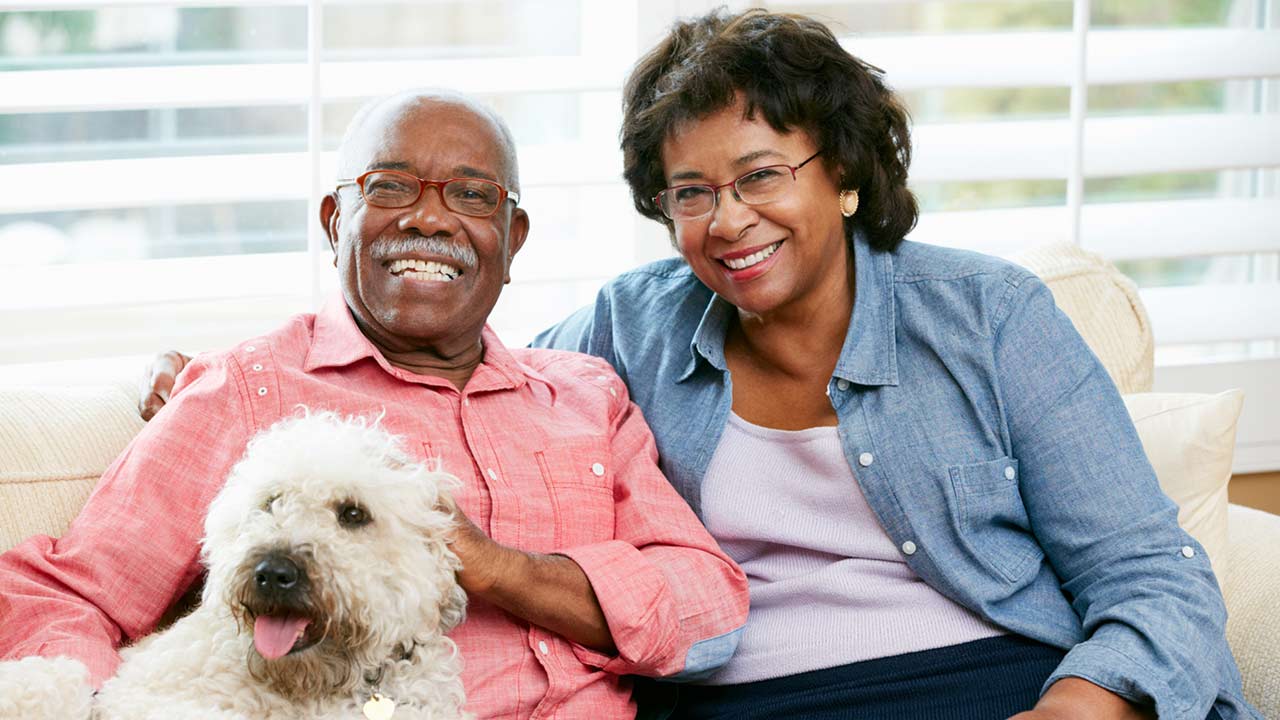 Smiling older couple sitting on a sofa with a fluffy white dog. The man, wearing glasses and a salmon-colored shirt, strokes the dog. The woman, in a blue shirt, leans against him, with a bright window in the background.