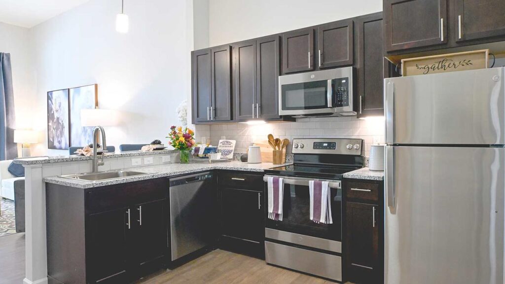 Modern kitchen with dark cabinets, stainless steel appliances, granite countertops, and a double sink. Colorful flowers and kitchen items are on the counter, and striped towels hang from the oven door. Living area visible in the background.