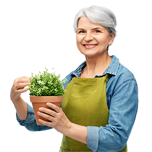 Smiling older woman with short gray hair wearing a green apron and denim shirt, holding a potted plant with small green leaves—radiating the joy of senior living against a plain white background.