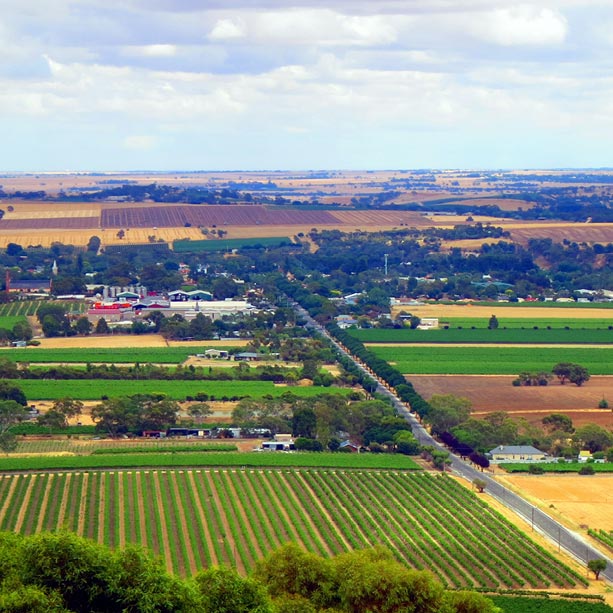 A scenic view of farmland with green and brown fields, a straight road dividing the land, trees, and scattered buildings under a partly cloudy sky.