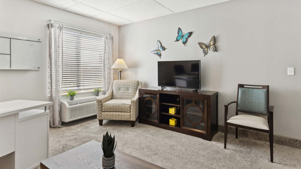 A cozy living room with two chairs, a TV on a wooden stand, butterfly wall decor, a window with blinds and sheer curtains, a floor lamp, and small plants on the windowsill and a coffee table.