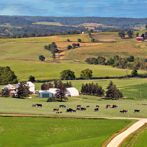 A rural farm scene with green fields, a cluster of farm buildings, and several grazing horses. Rolling hills and scattered trees fill the background under a partly cloudy blue sky.