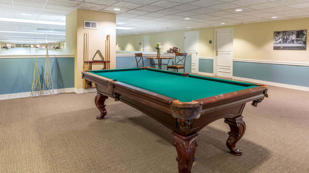 A pool table with green felt stands in a spacious, carpeted room. Pool cues and a rack are mounted on the wall, and a small table with two chairs and a vase of flowers is in the background.