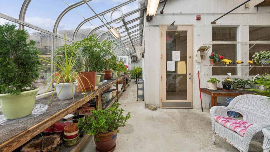 A bright greenhouse interior with potted plants on wooden tables, a wicker chair with a pink-striped blanket, shelves with flowers, and large windows letting in sunlight.