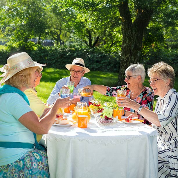 Five older adults sit around a table outdoors, smiling and toasting with drinks. The table has food and juice, and trees and sunlight create a cheerful atmosphere in the background.