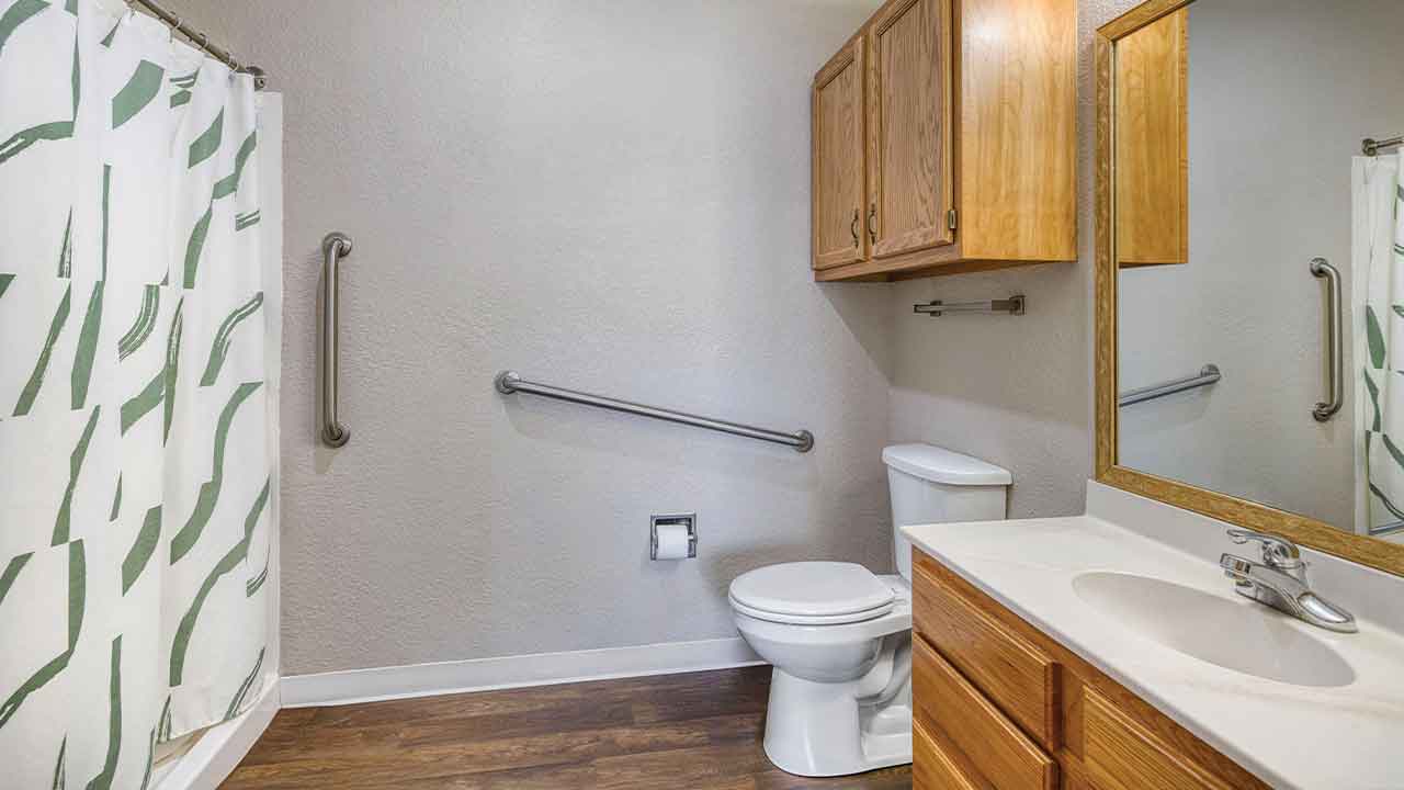 A bathroom featuring an accessible toilet with grab bars, a vanity with a wood cabinet, and a shower with a patterned curtain.