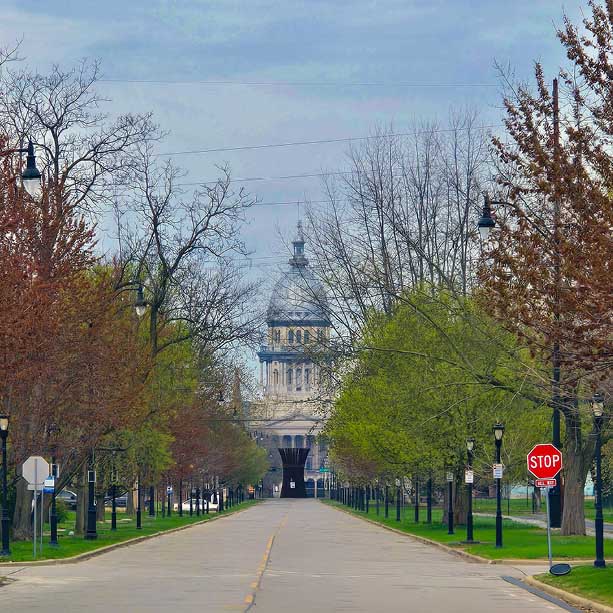 A tree-lined street leads to a domed government building in the distance, with a stop sign visible on the right side and early spring foliage on the trees. The sky is overcast.